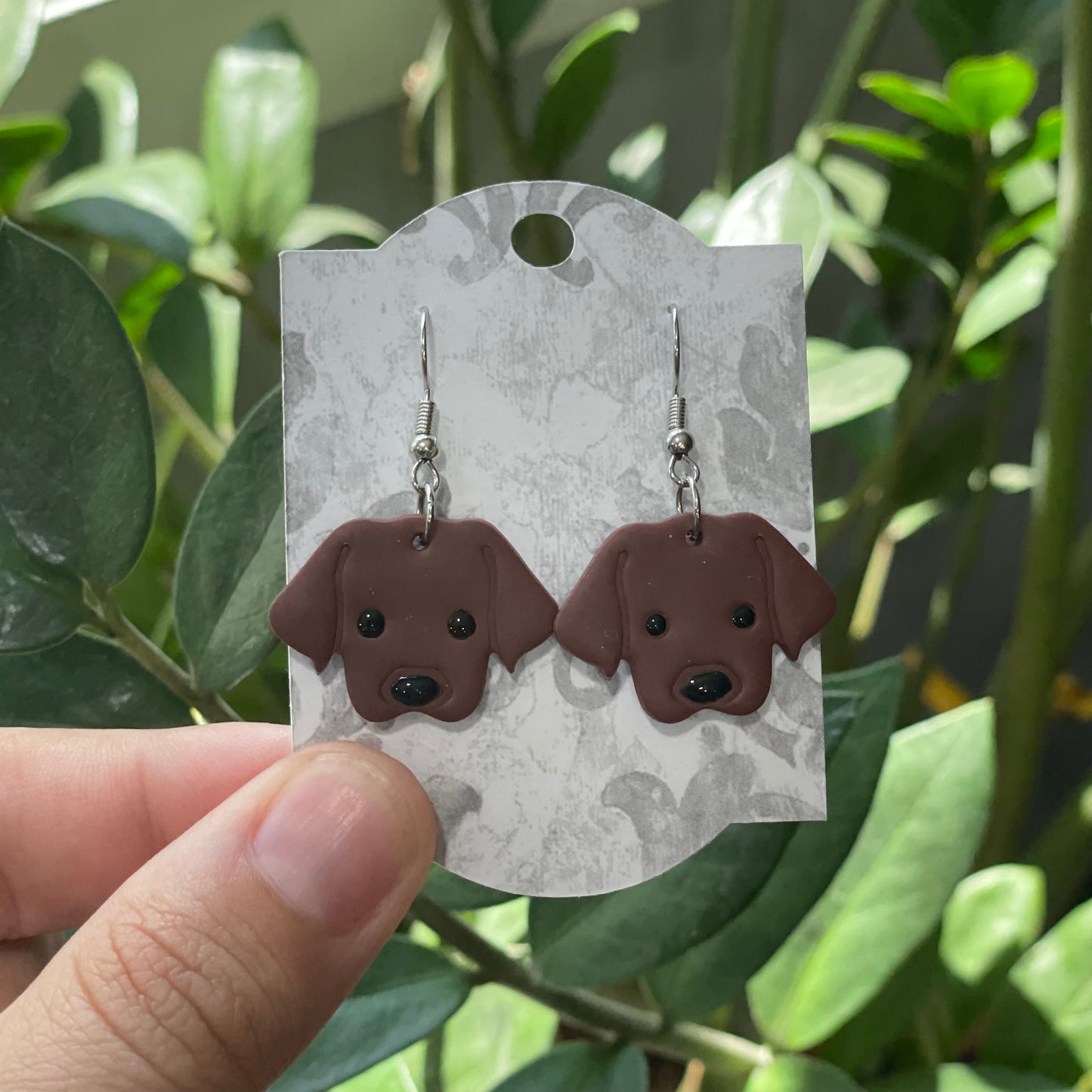 Labradors