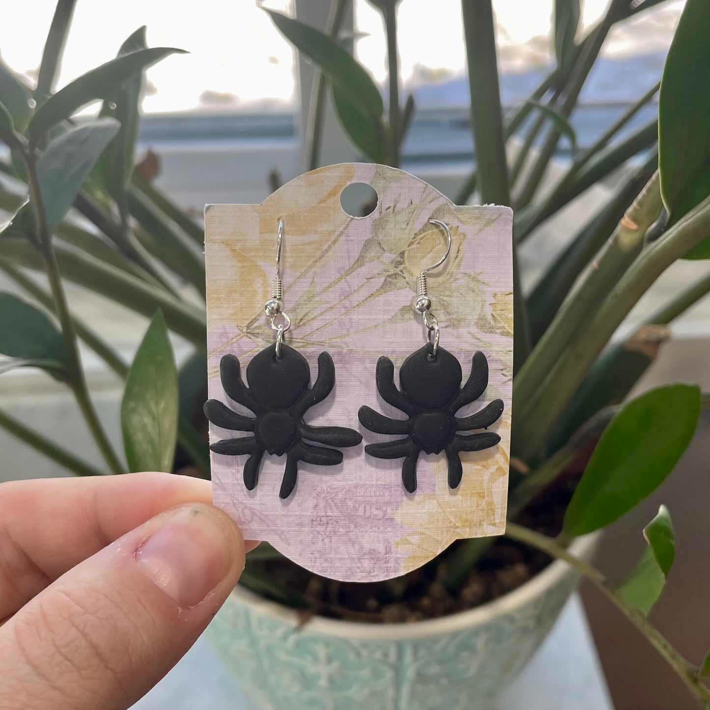 Spiders