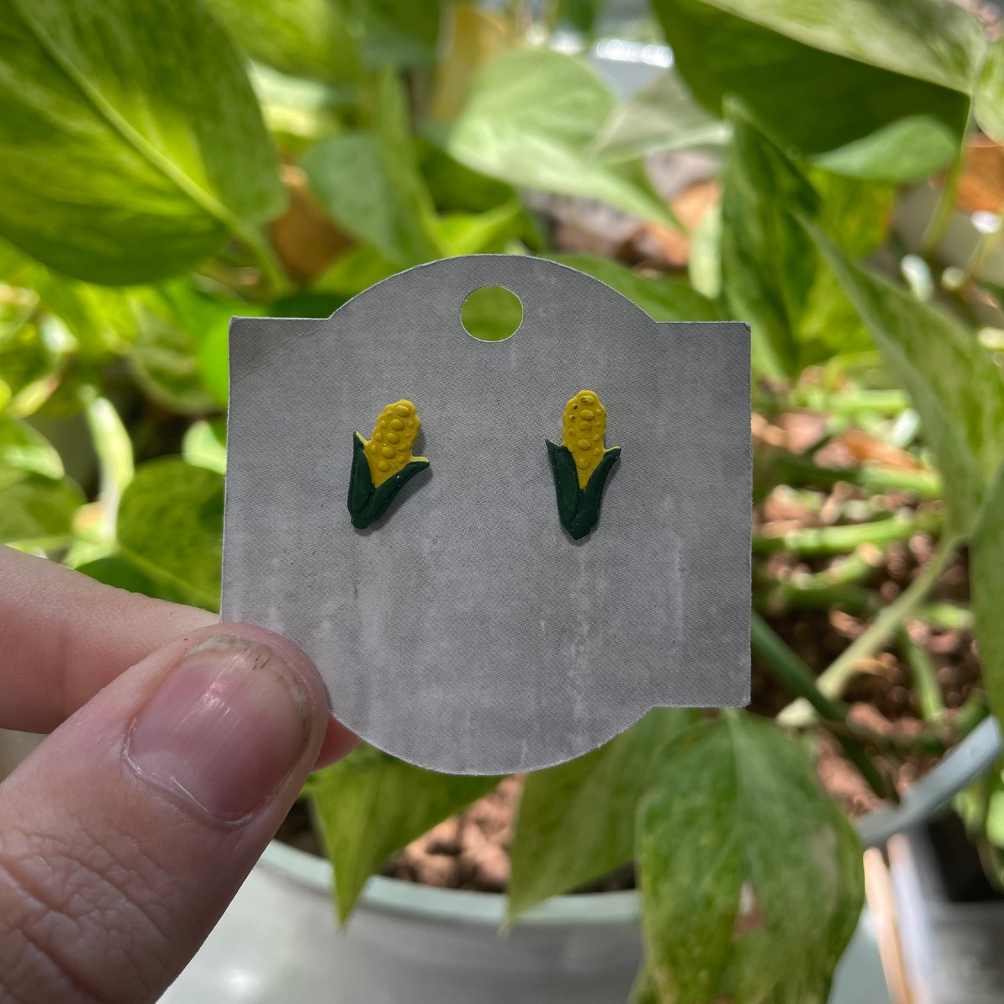 Fresh Corn Studs