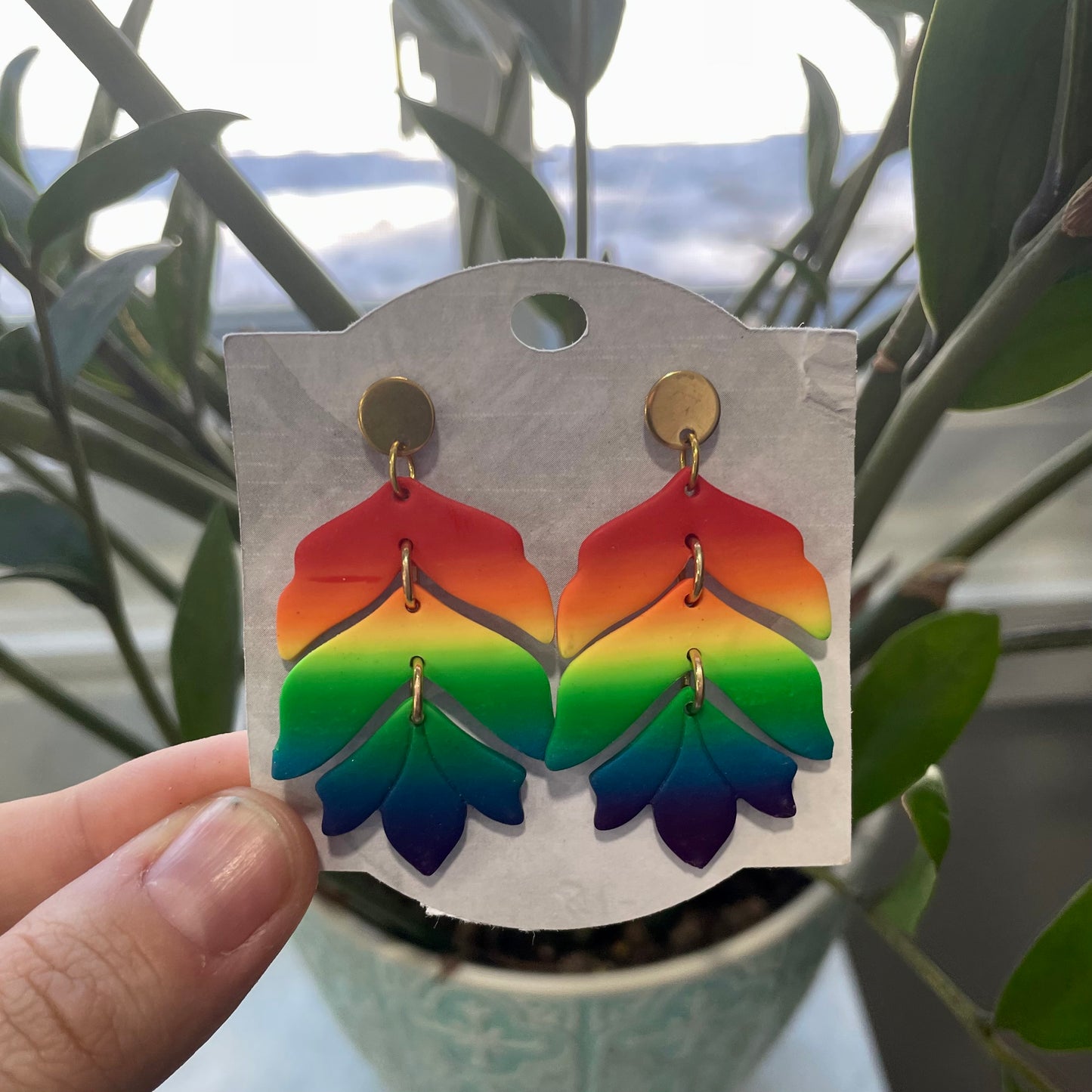 Rainbow Scott