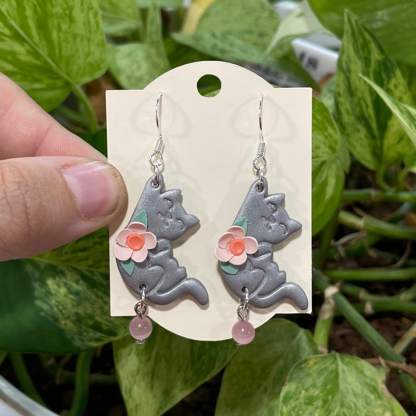 Grey Hanging Cats
