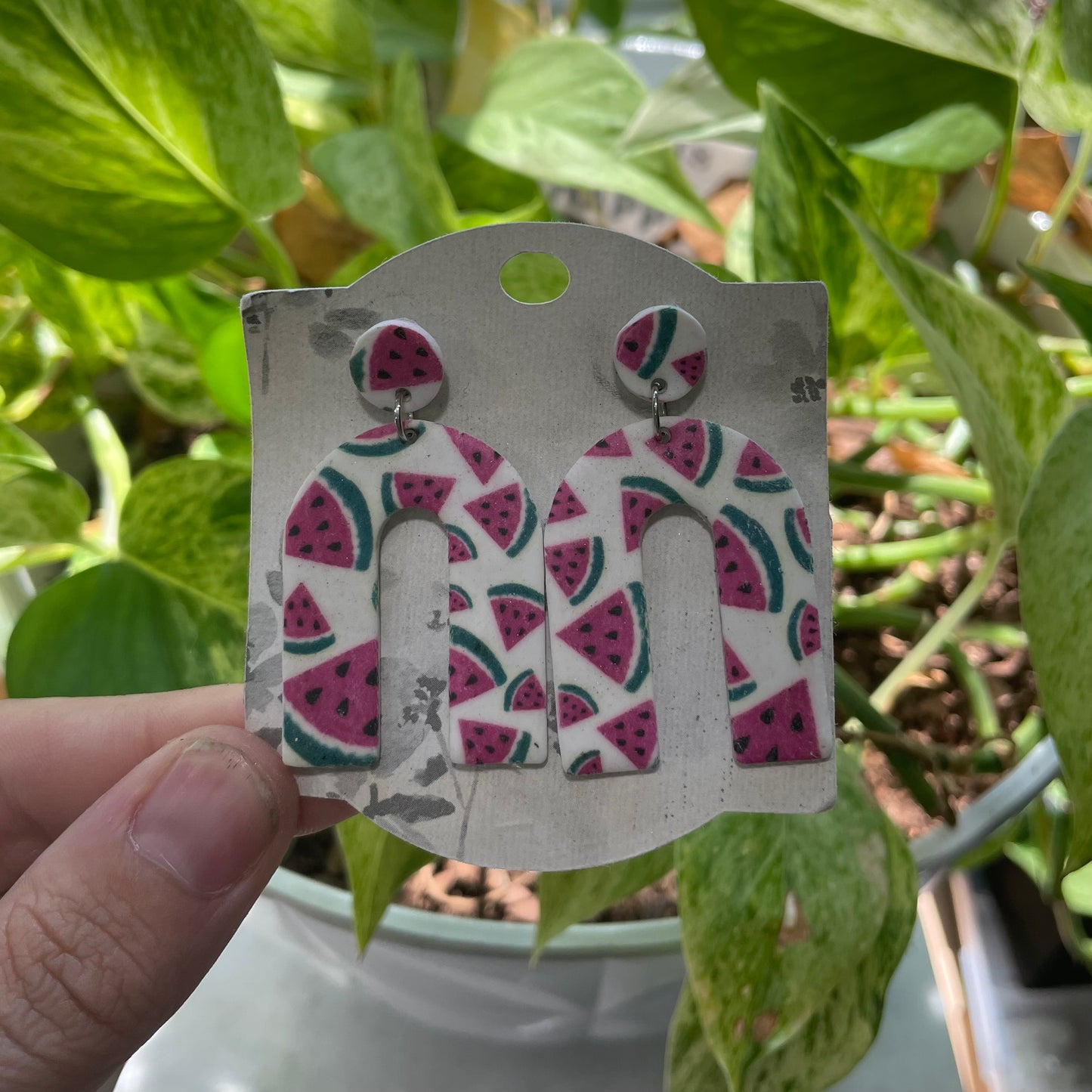 Fresh Watermelon Print
