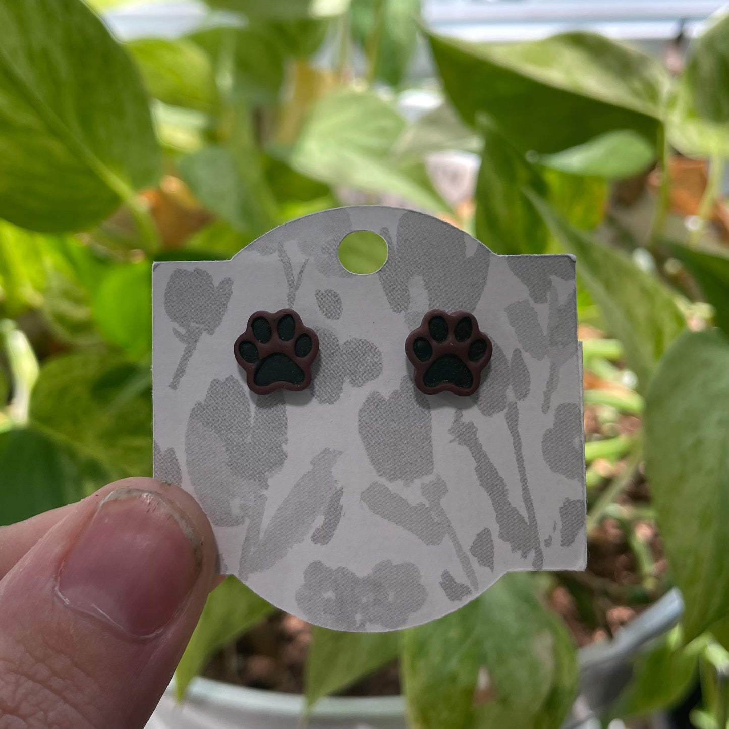 Paw Prints