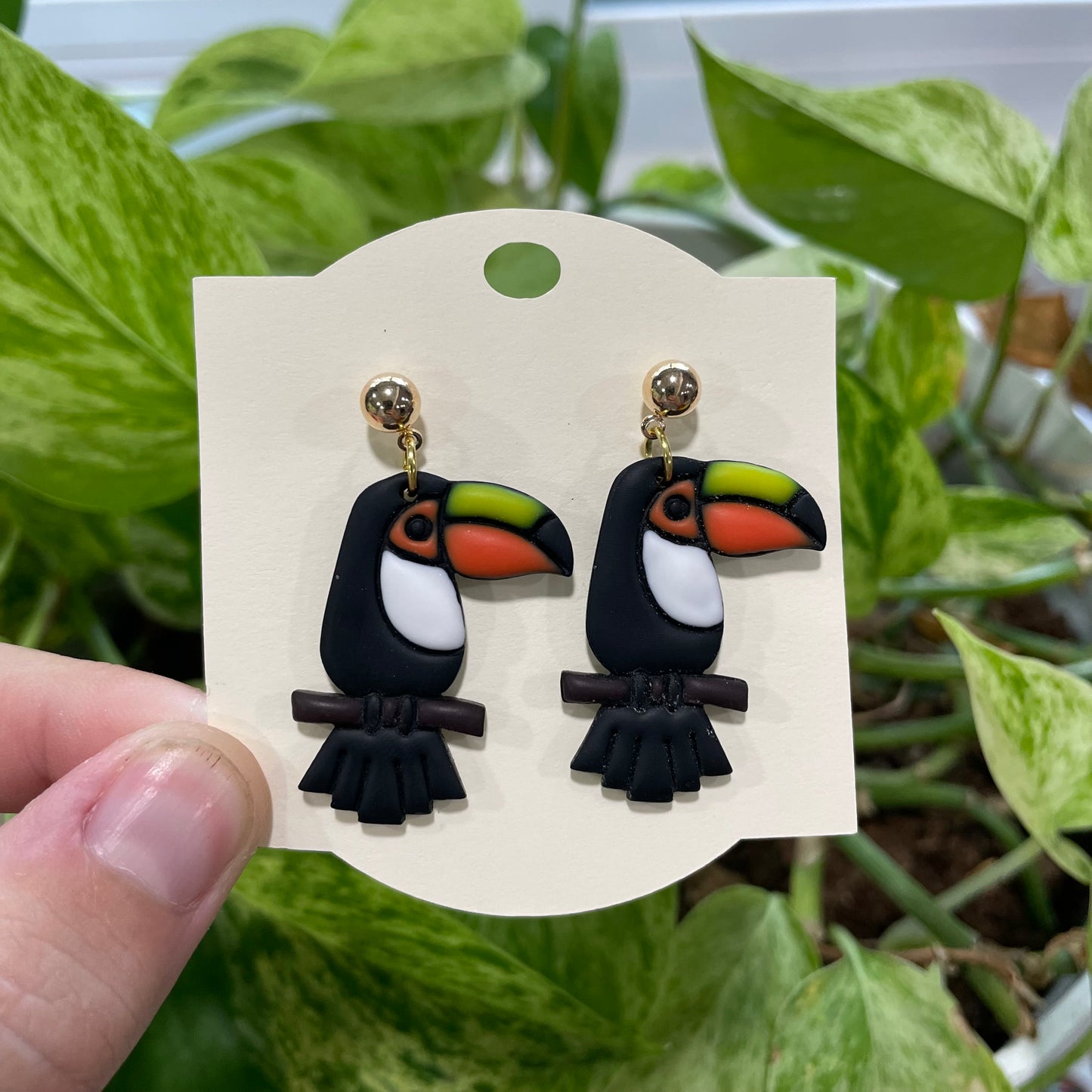 Toucans