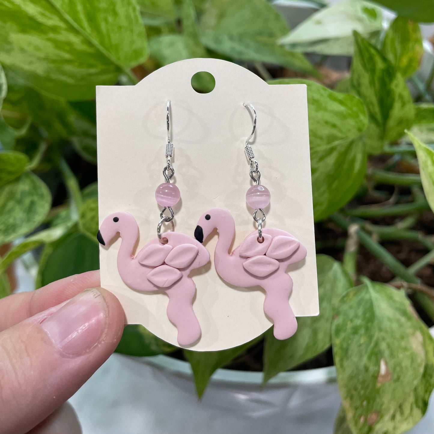 Flamingos