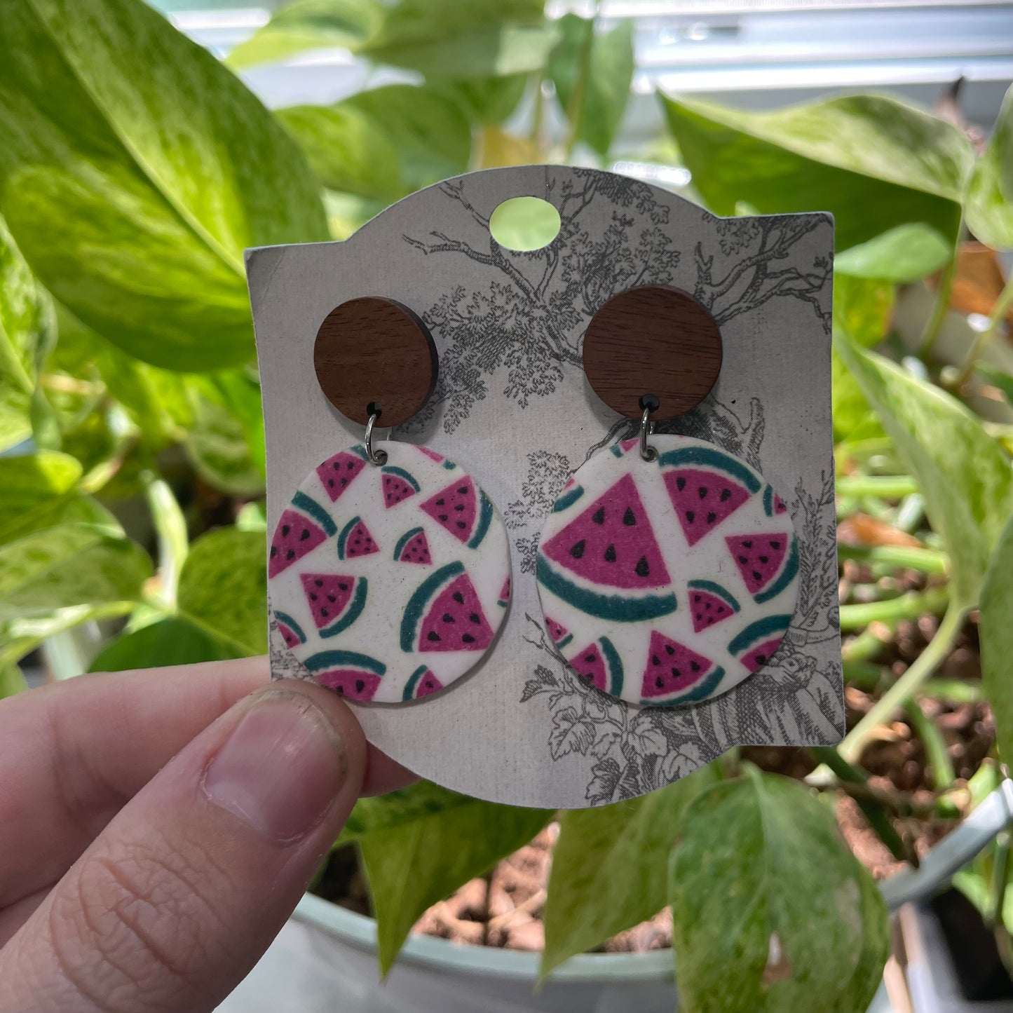 Fresh Watermelon Print