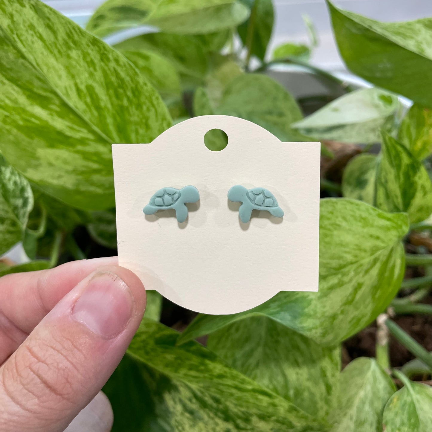 Turtle Studs