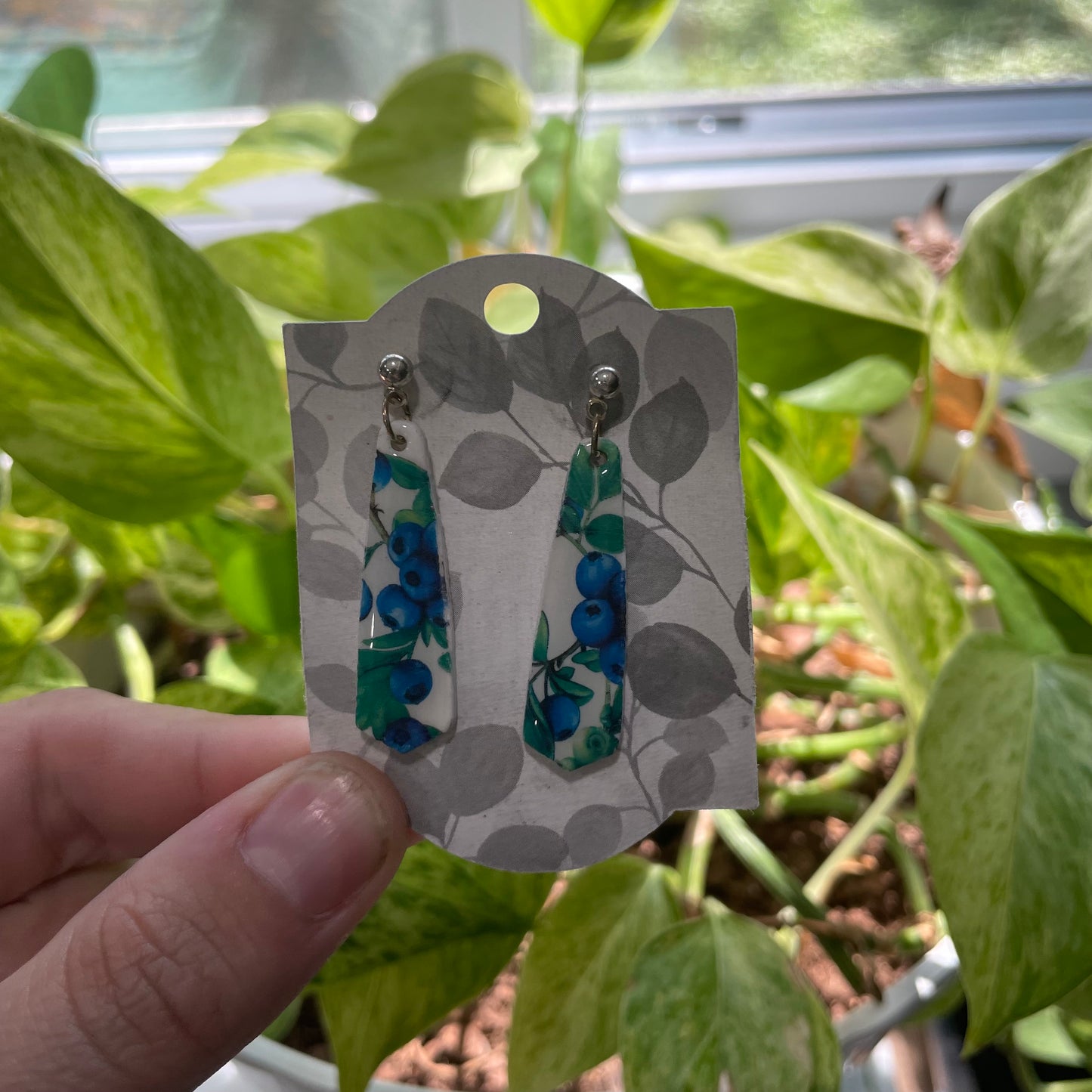 Fresh Blueberry Print