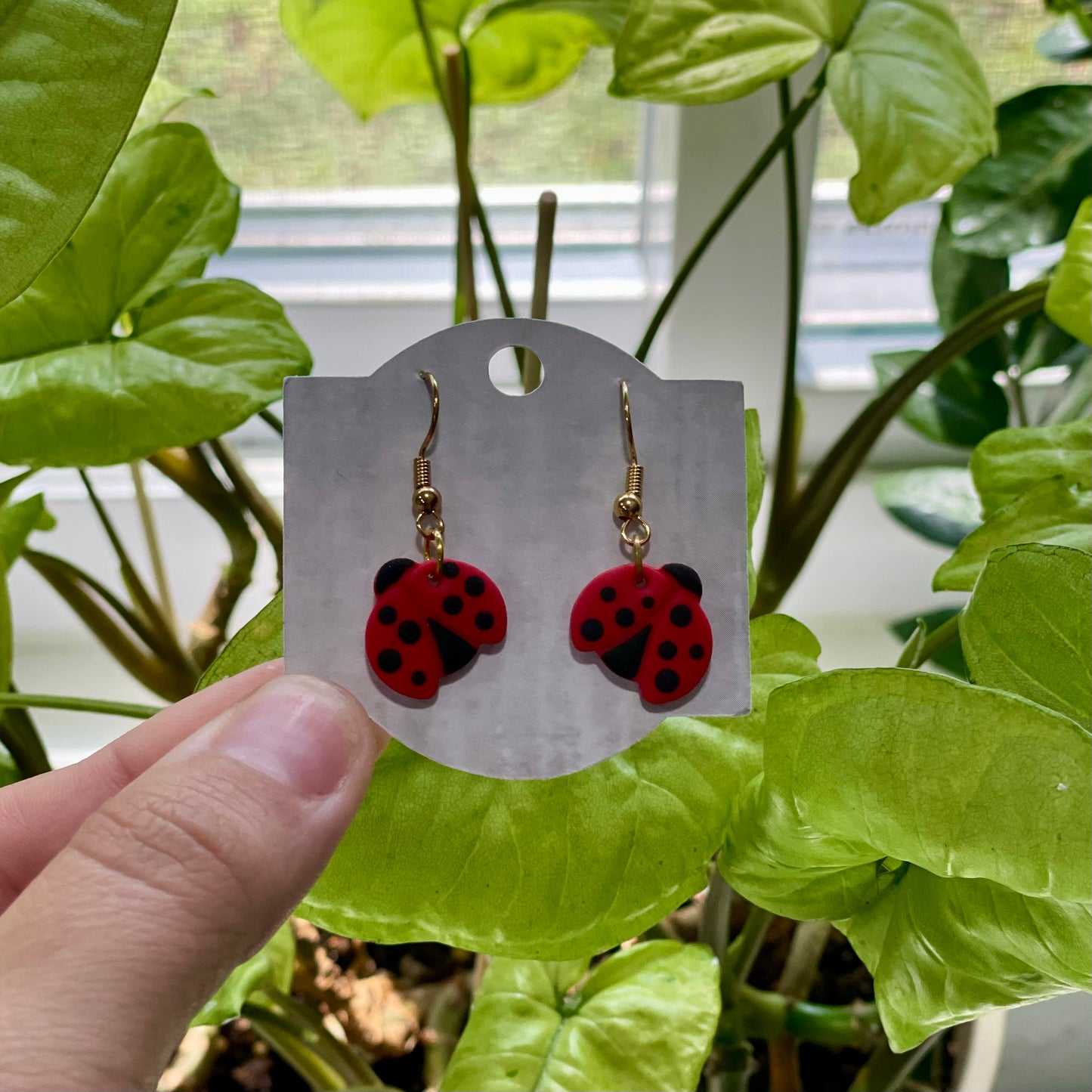 Sweet Lady Bugs