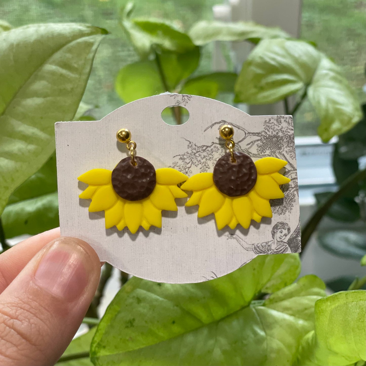 Fresh Sunflowers