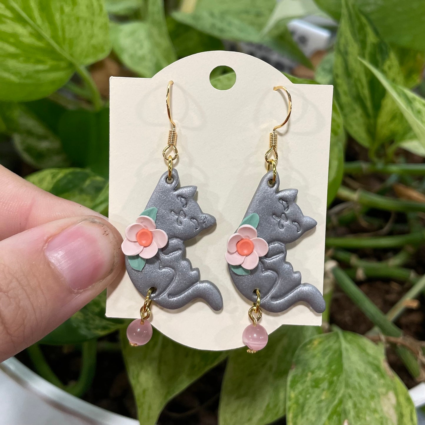 Grey Hanging Cats