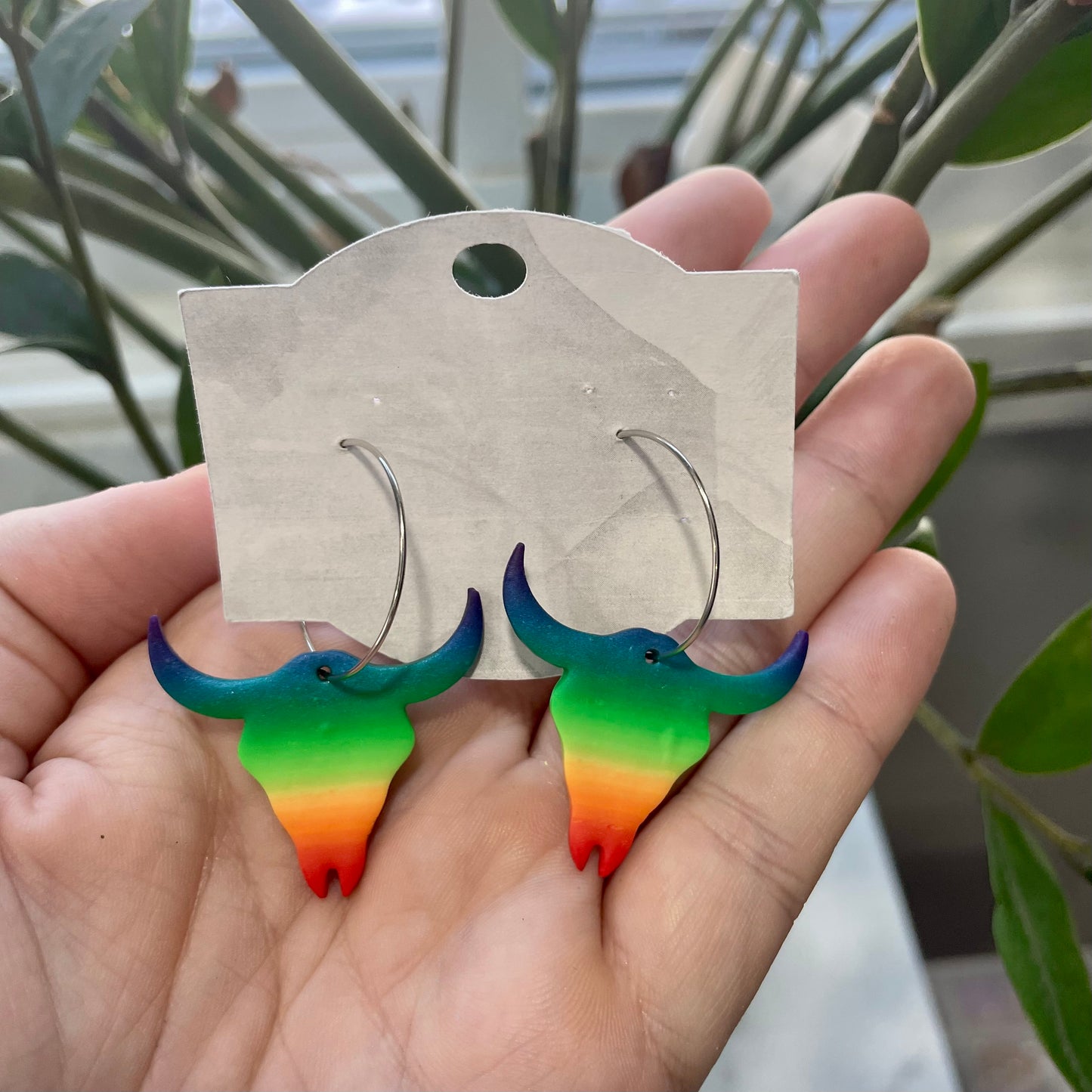 Rainbow Longhorns