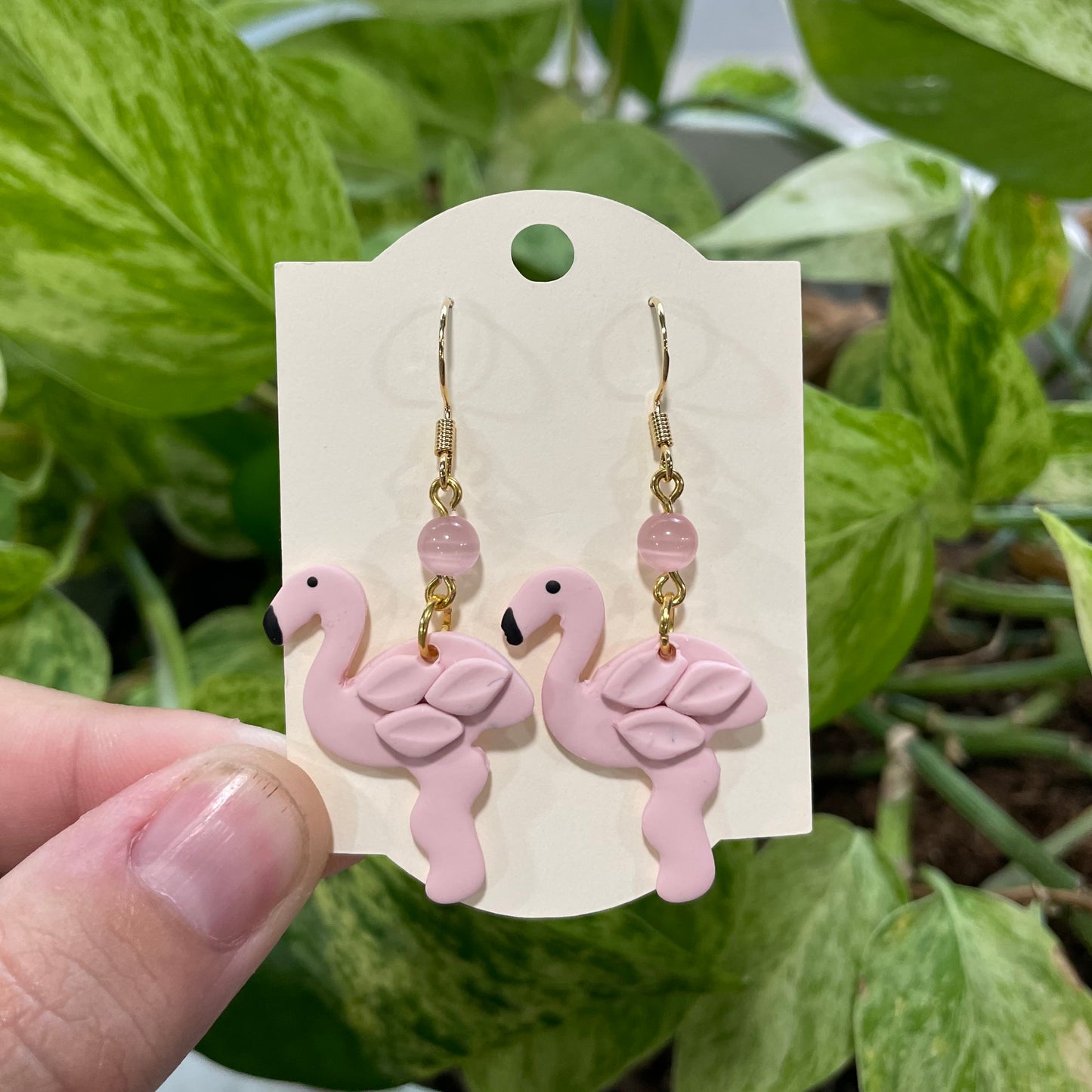 Flamingos