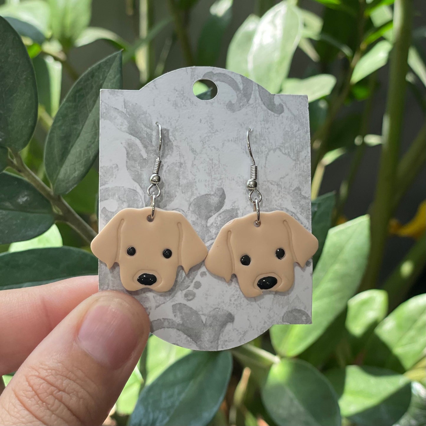 Labradors