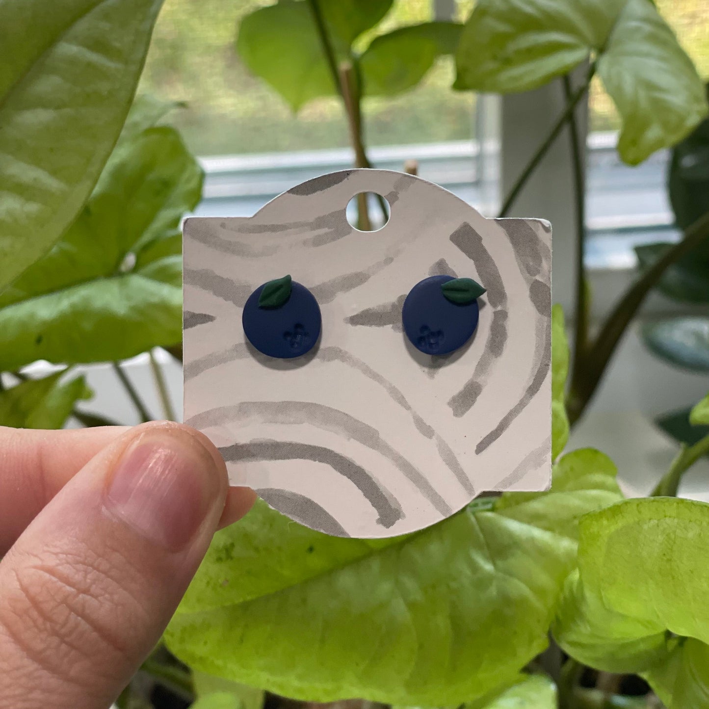 Fresh Blueberries