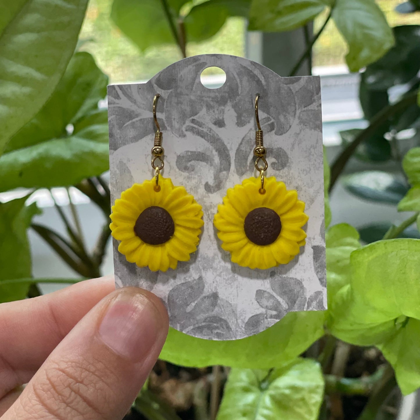 Fresh Sunflowers