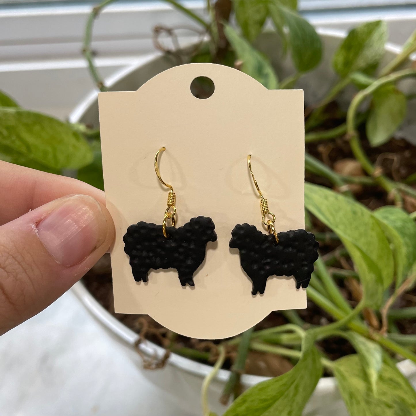 Sheep