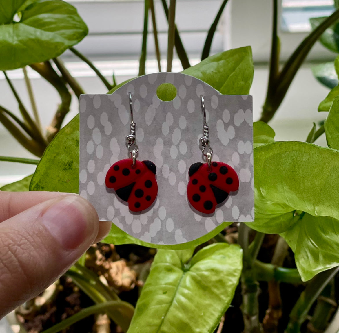 Lady Bugs