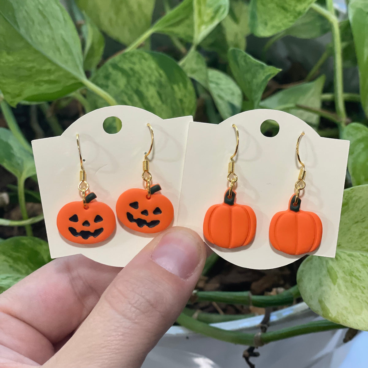 Jack o Lantern Pumpkins