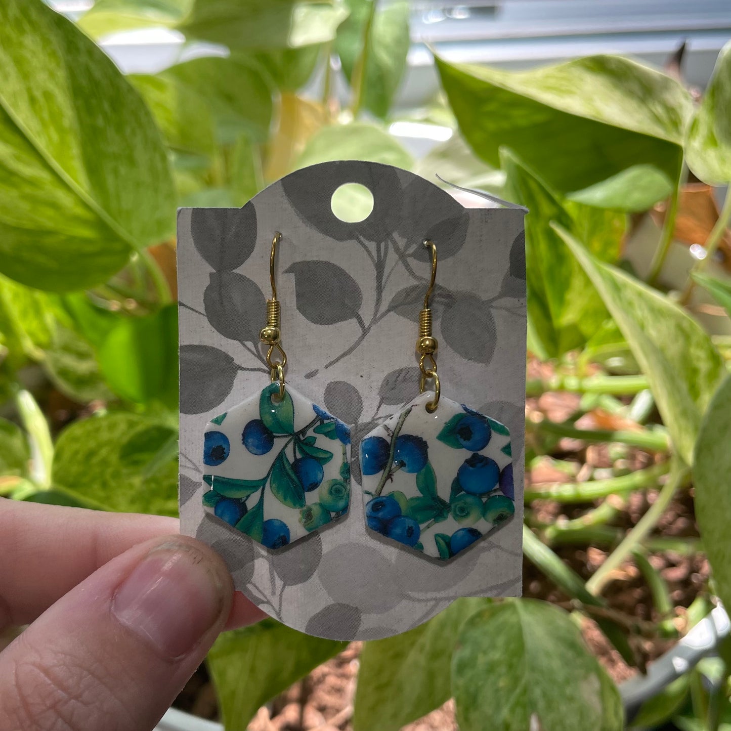 Fresh Blueberry Print