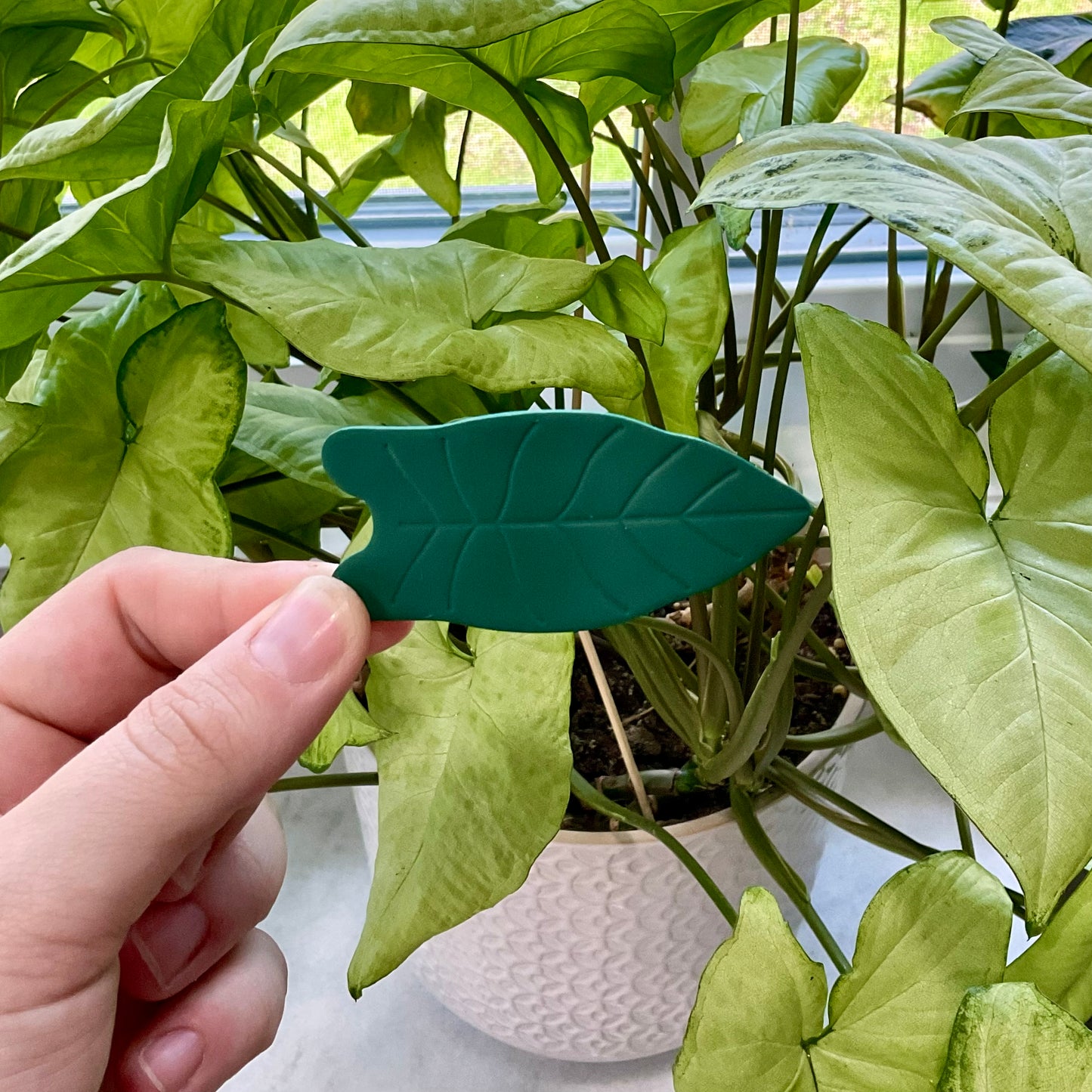 Houseplants Hairclips