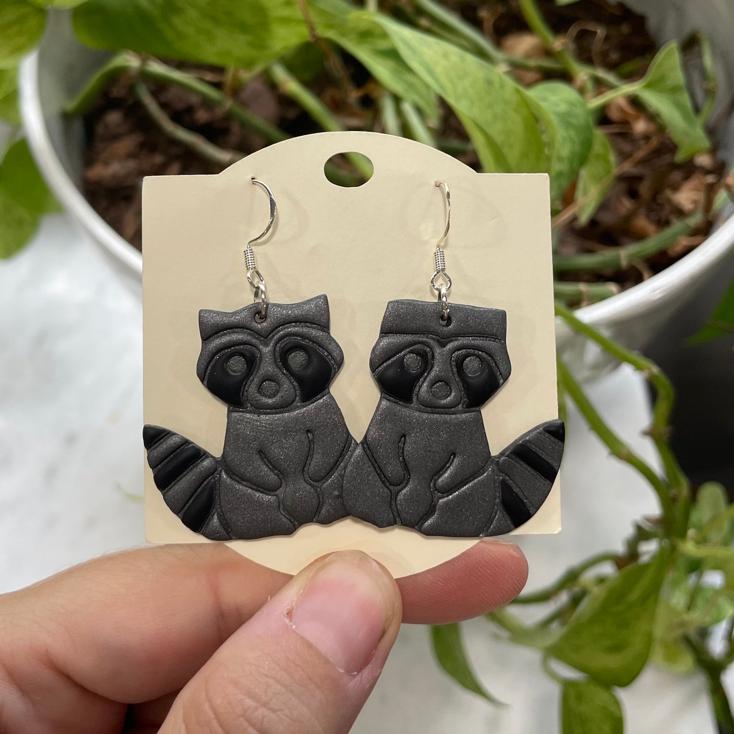 Racoons