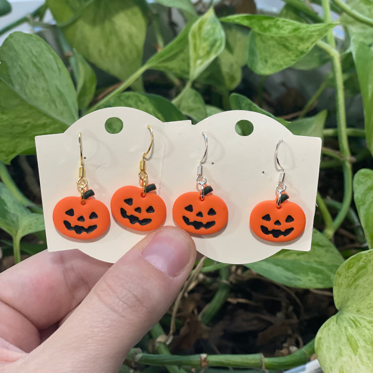 Jack o Lantern Pumpkins