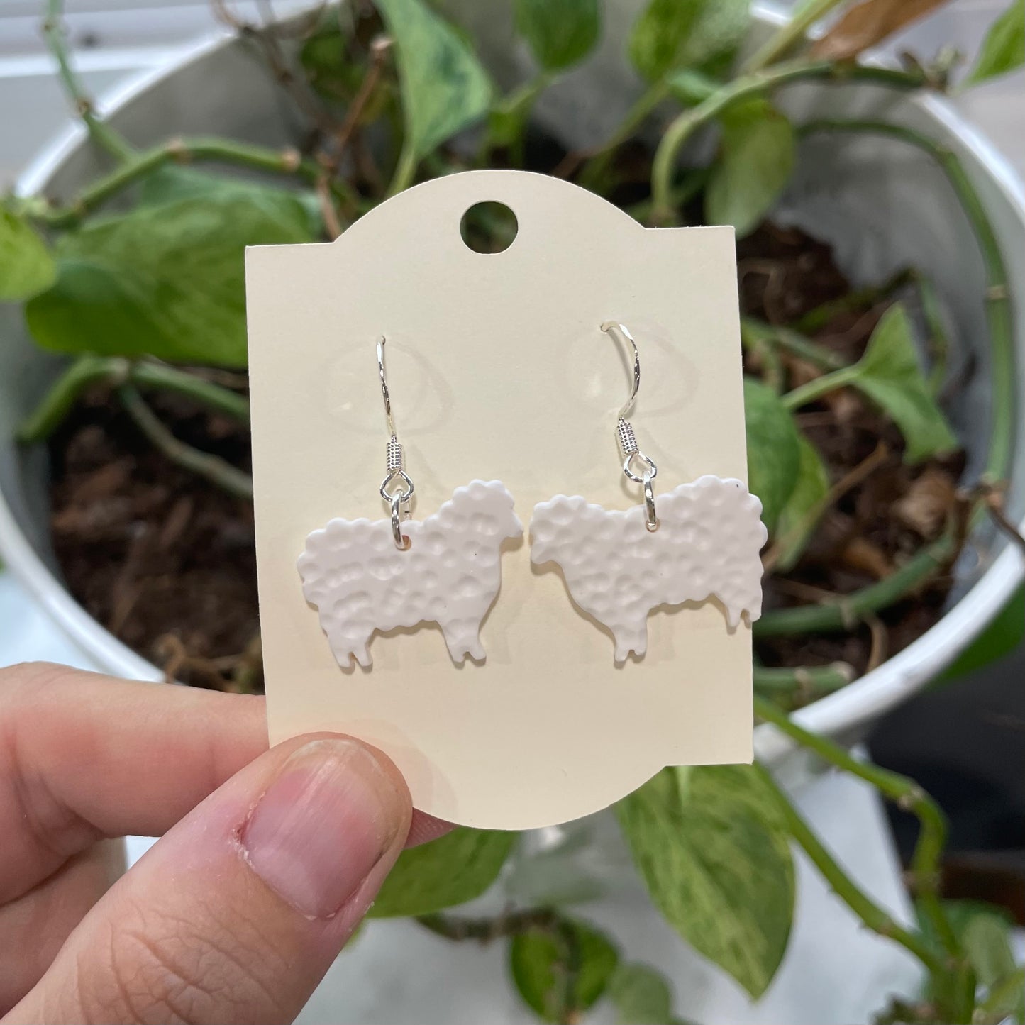 Sheep