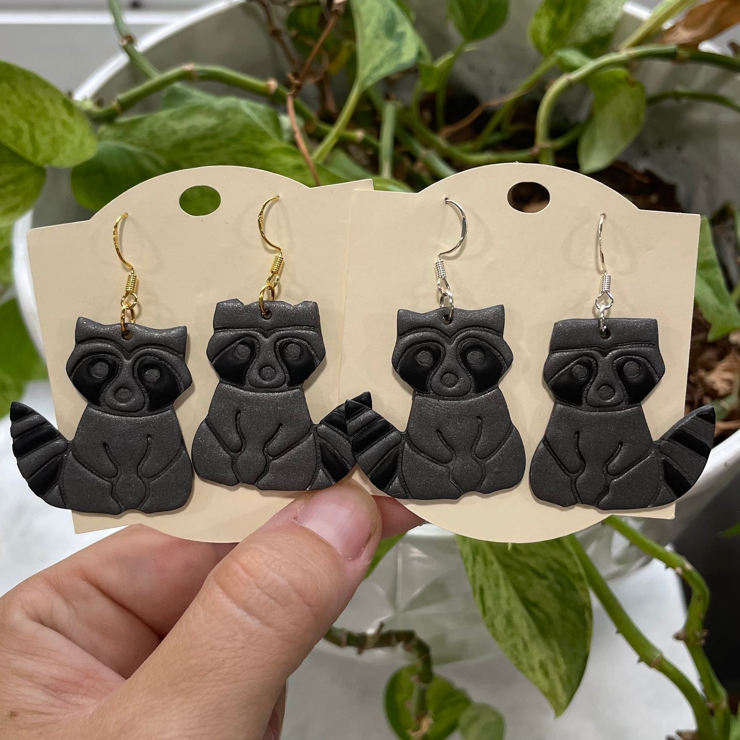 Racoons