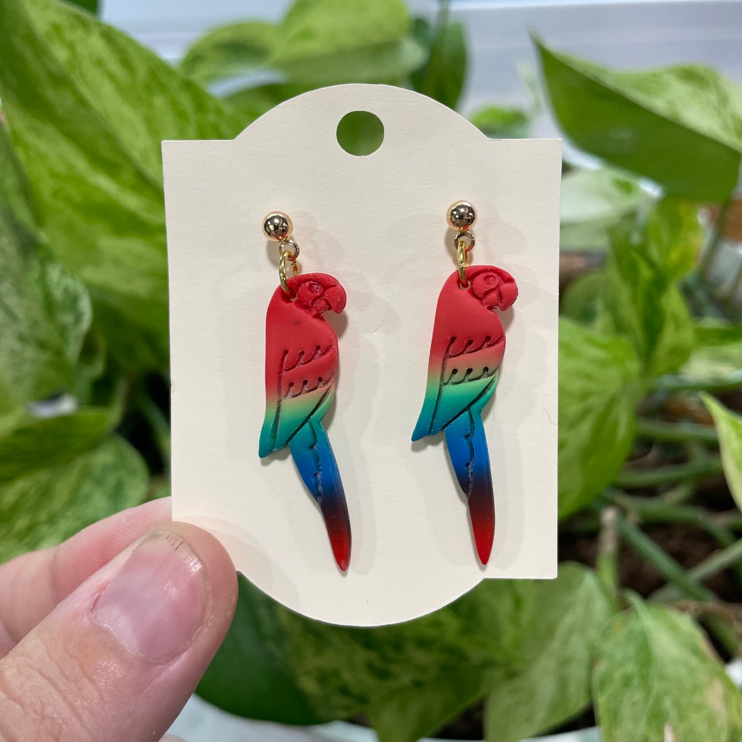 Parrots