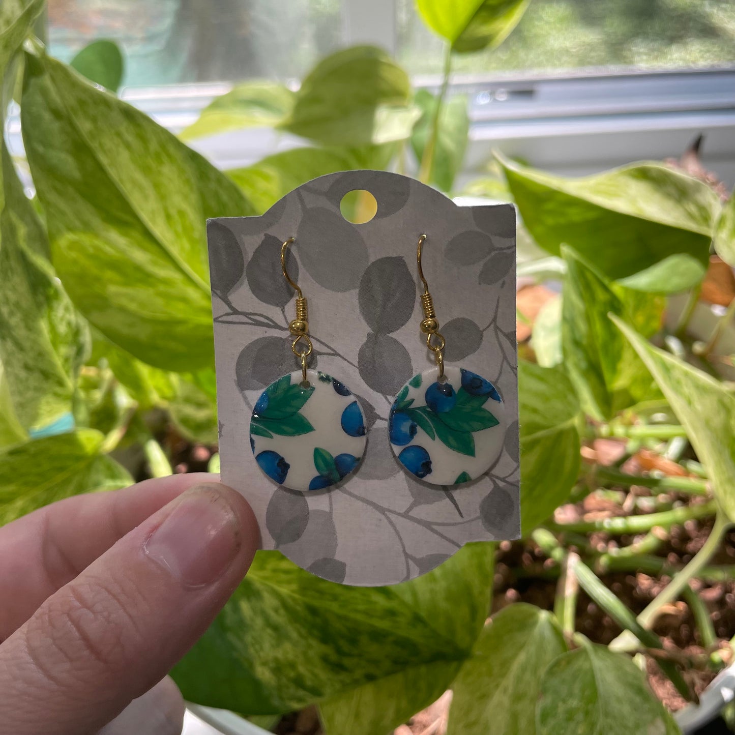 Fresh Blueberry Print