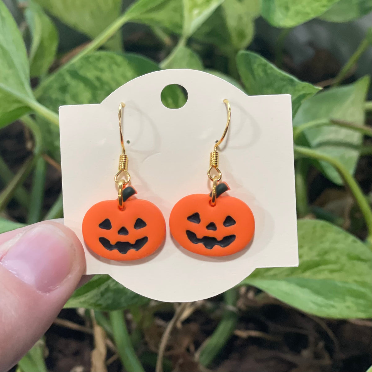 Jack o Lantern Pumpkins