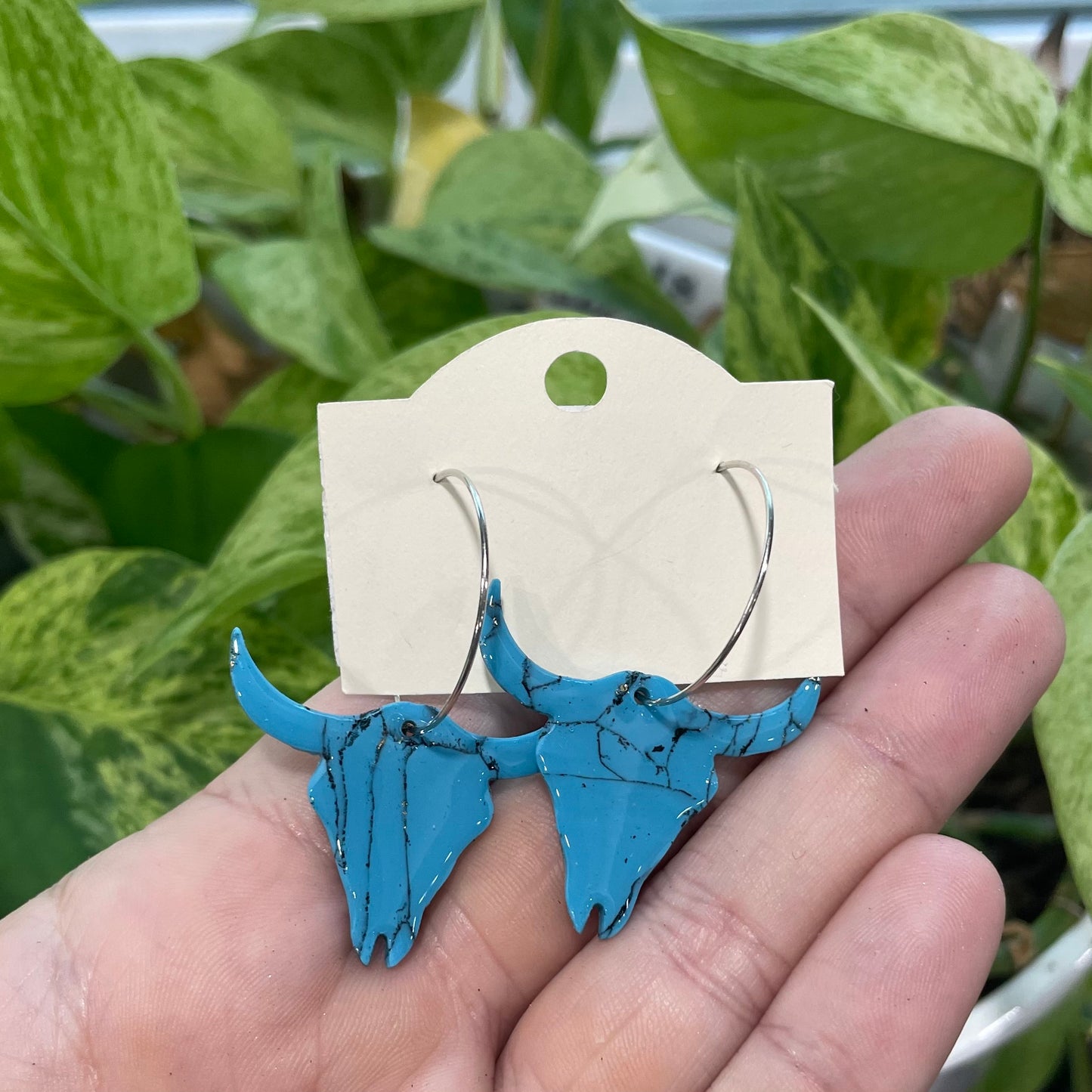 Blue Turquoise Longhorns