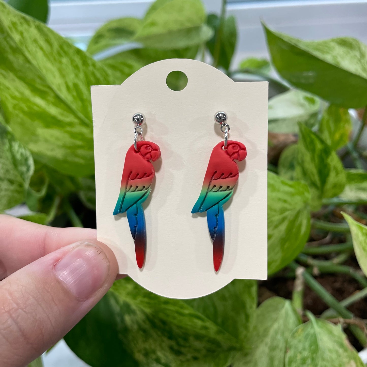 Parrots