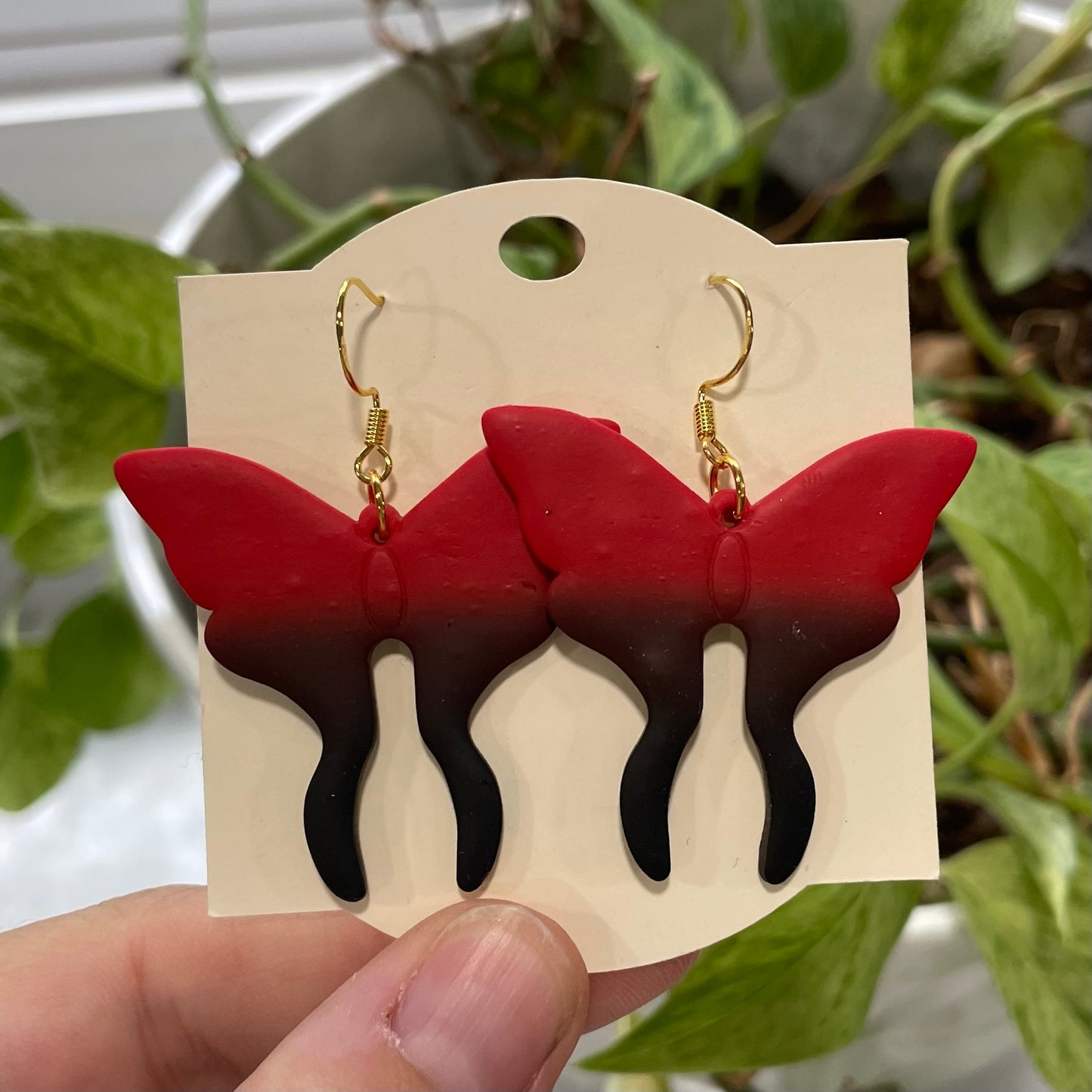 Black and Red Moths