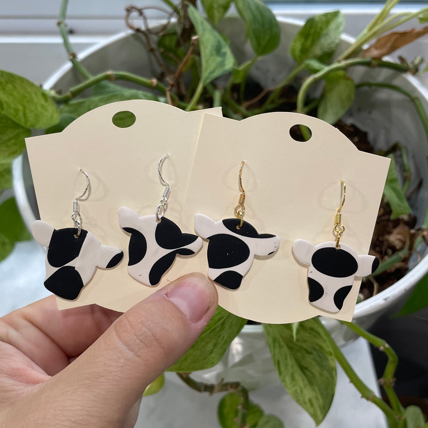 Cows