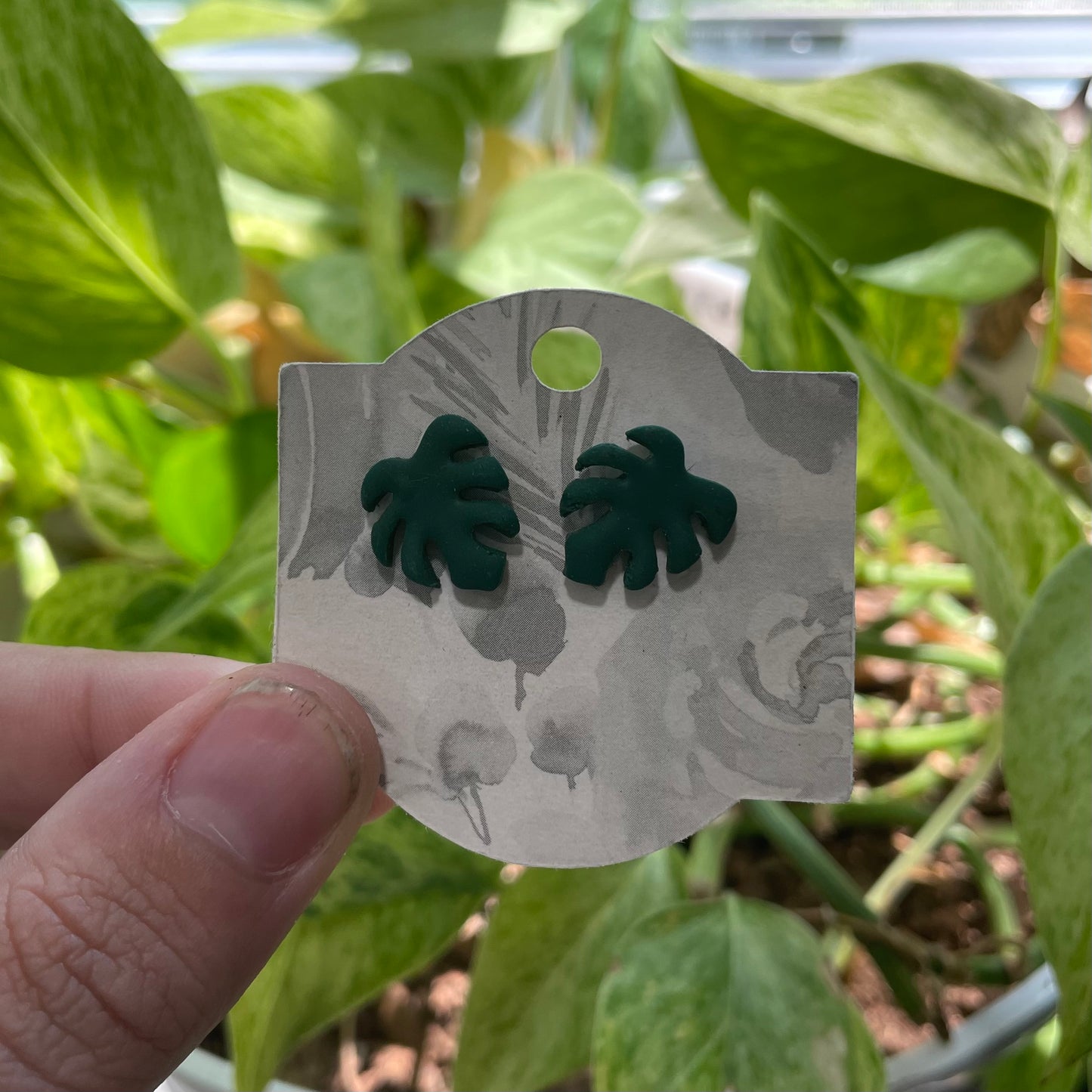 Monstera Studs