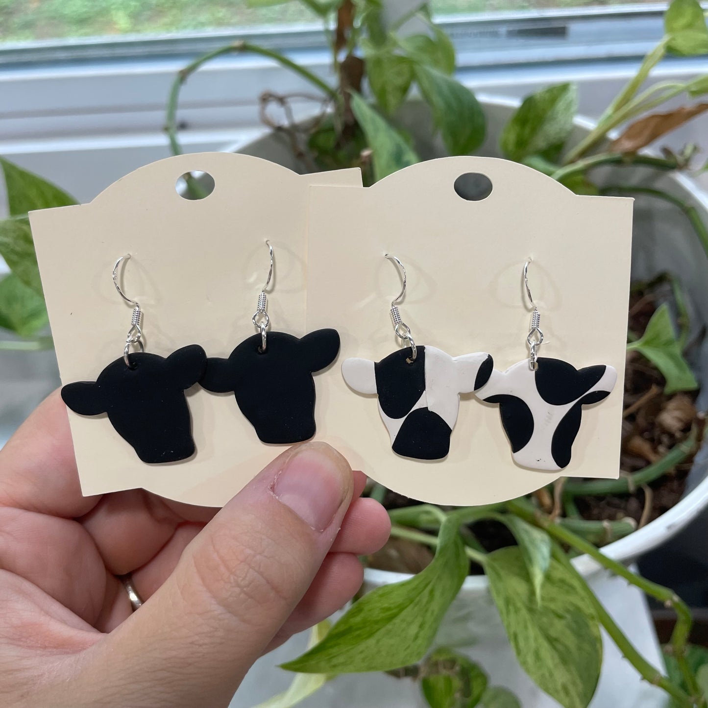 Cows