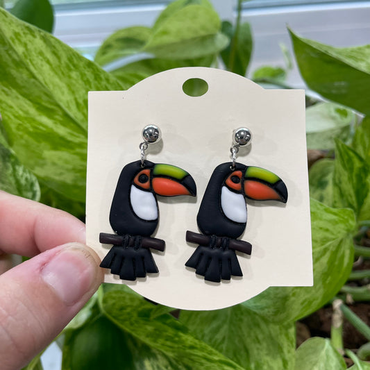 Toucans