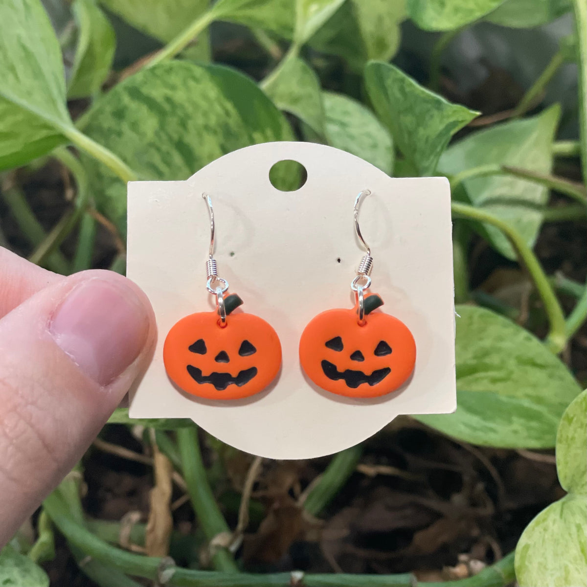 Jack o Lantern Pumpkins