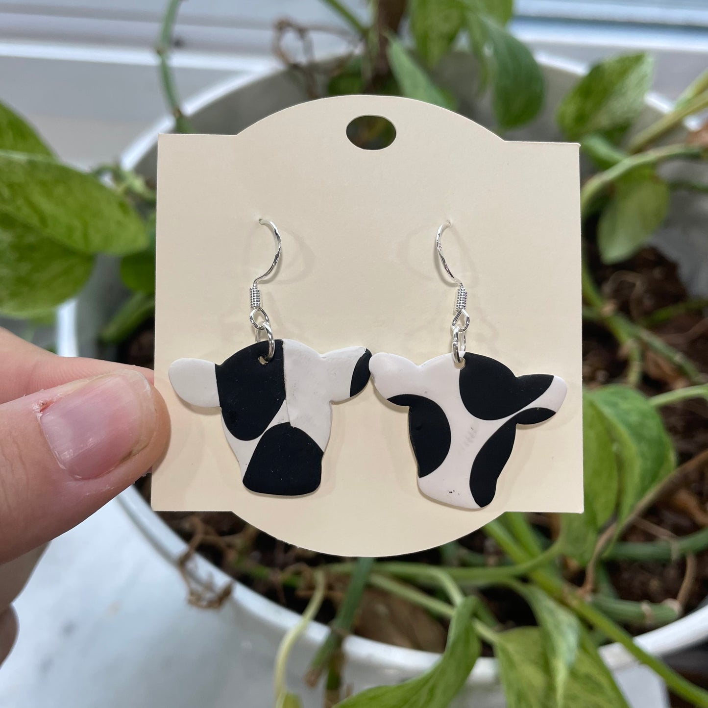 Cows
